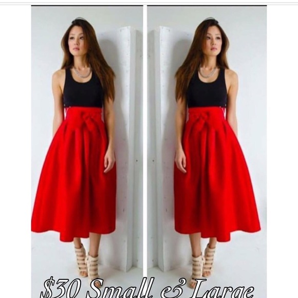 Brand new with tags Skirt