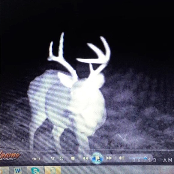 Meet your Posher, Dylan - Picture 1 of 1