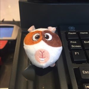 Meet your Posher, Zuleima