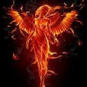 Meet your Posher, Priscilla