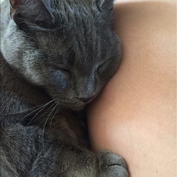 Meet your Posher, Ana - Picture 2 of 2