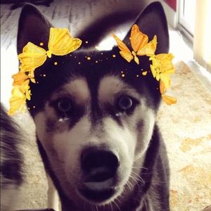 Meet your Posher, Patrycja