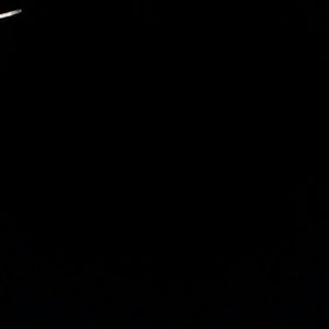 Meet your Posher, Griselda