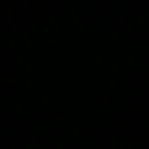 Meet your Posher, Lamar