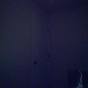 Meet your Posher, Willie