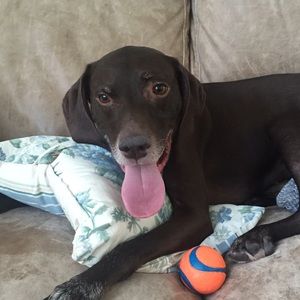 Meet your Posher, Valerie