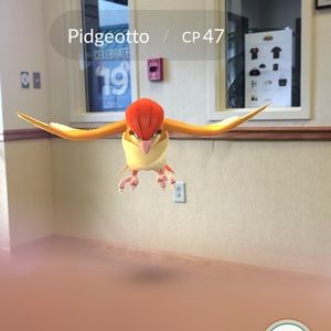 Meet your Posher, Tima