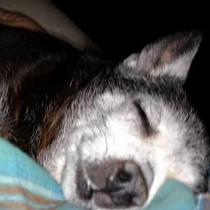 Meet your Posher, Donna