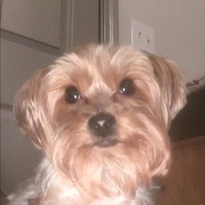 Meet your Posher, Christie