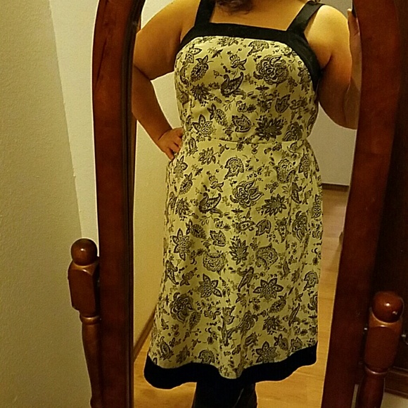Gorgeous Paisley dress with black trim. Nwt