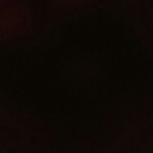 Meet your Posher, Lanelle