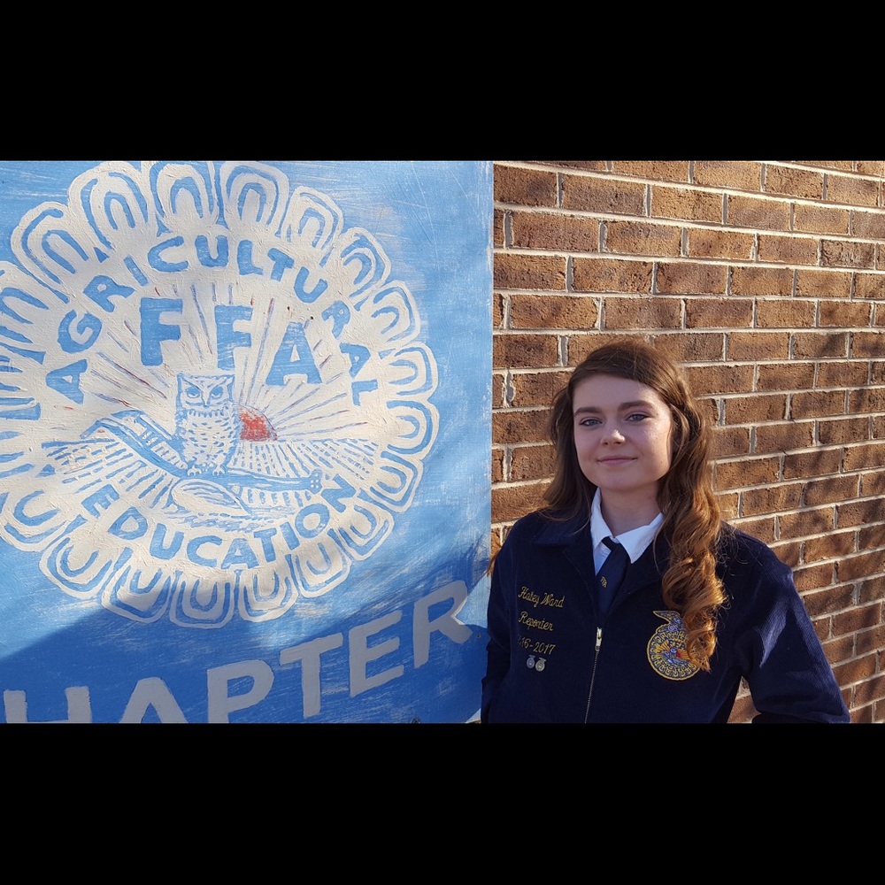 Meet your Posher, Hailey