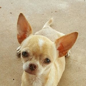 Meet your Posher, Marcela