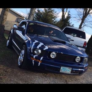 Meet your Posher, Leo