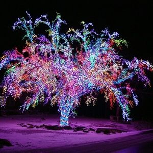 Meet your Posher, Evelyn