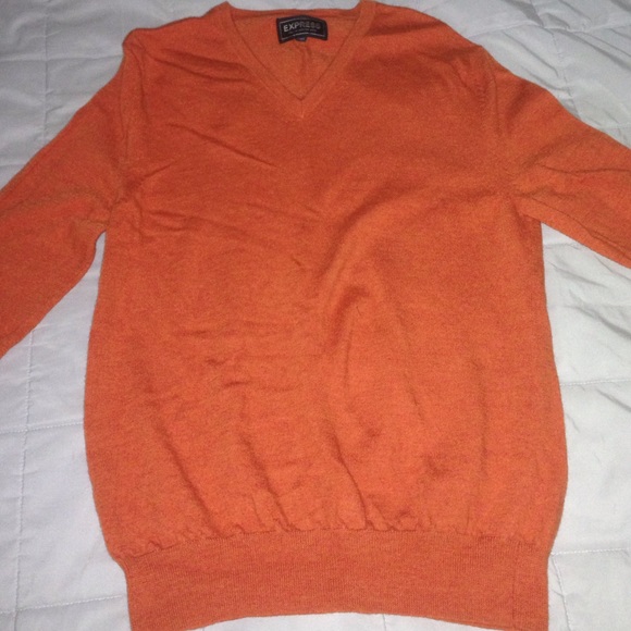 Express Merino Wool vneck sweater