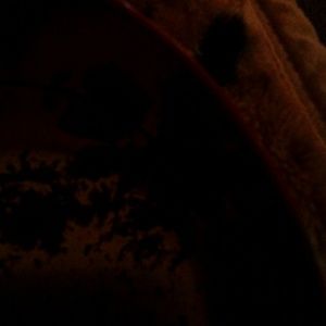 Meet your Posher, Wendy