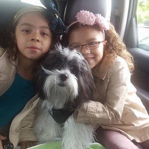 Meet your Posher, Ingris