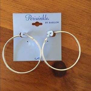 Silver Hoop Earings