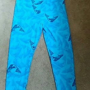 Blue chihuahua heads