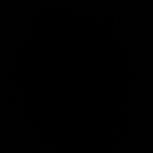 Meet your Posher, Shantanese