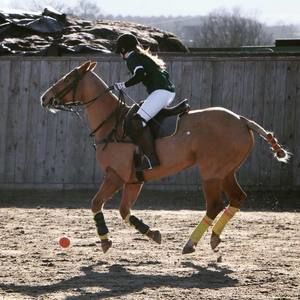 Meet your Posher, Annie