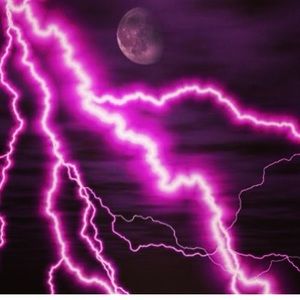 Meet your Posher, Tamya