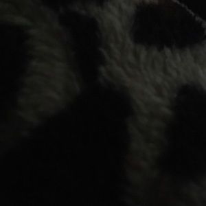 Meet your Posher, Violeta