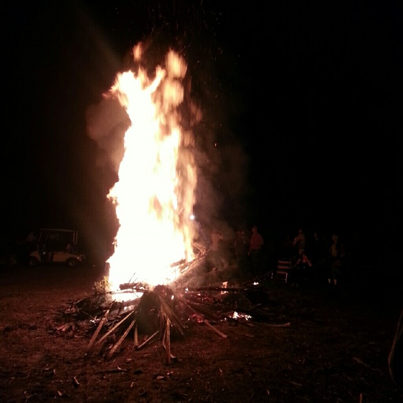 Meet your Posher, Yory - Picture 1 of 1