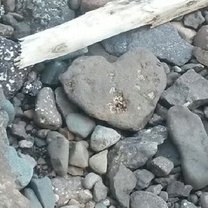 Meet your Posher, Bobbie