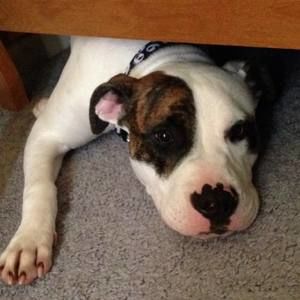 Meet your Posher, Mackenzie