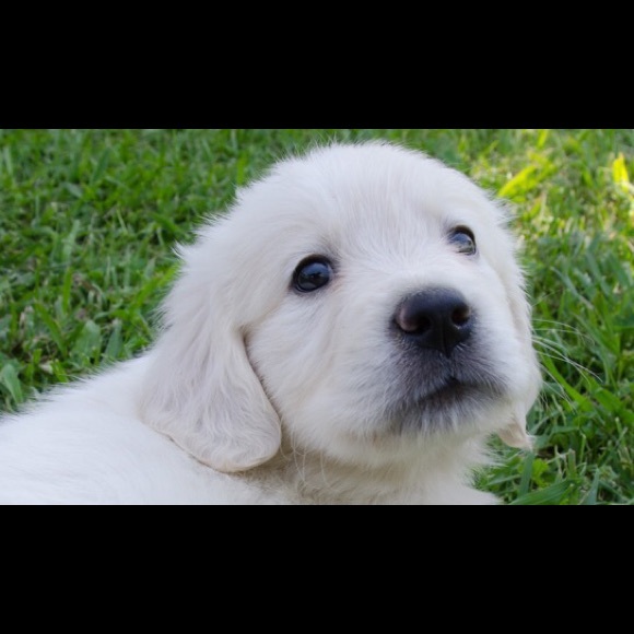 Meet your Posher, Gabby