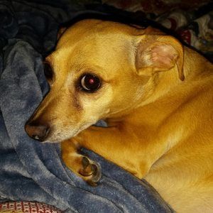 Meet your Posher, Nancy