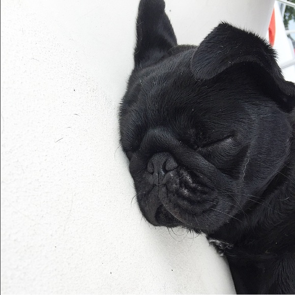 Meet your Posher, Lauren - Picture 6 of 6