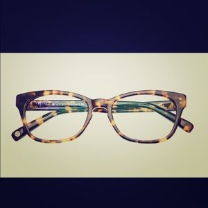 Warby Parker - Finch - Violet Magnolia Glasses