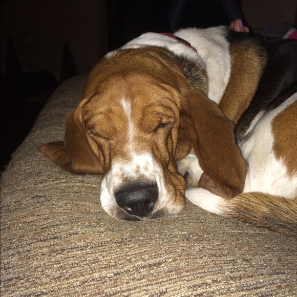 Meet your Posher, Alex