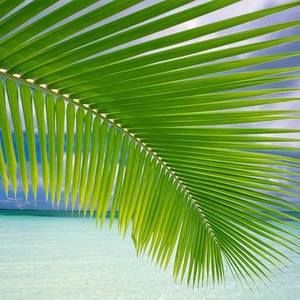 Meet your Posher, Marge