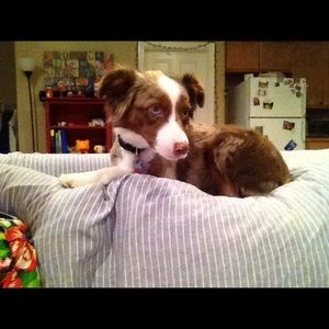 Meet your Posher, Becca