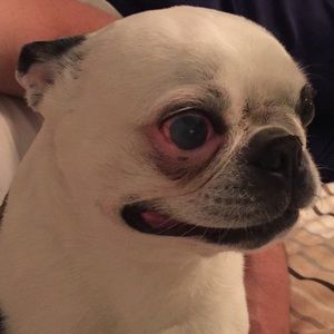 Meet your Posher, Kristen