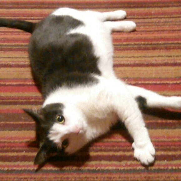 Meet your Posher, Anna I do ship usual Mon Fri and Sat thank you ❤️❤️ - Picture 2 of 3