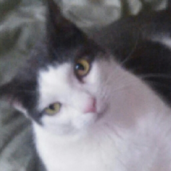 Meet your Posher, Anna I do ship usual Mon Fri and Sat thank you ❤️❤️ - Picture 3 of 3