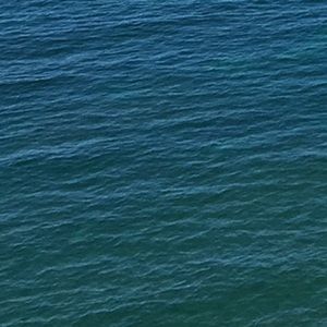 Meet your Posher, Caleb