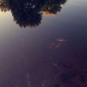 Meet your Posher, Delaney