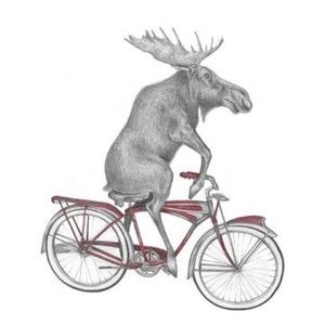 Meet your Posher, Sally