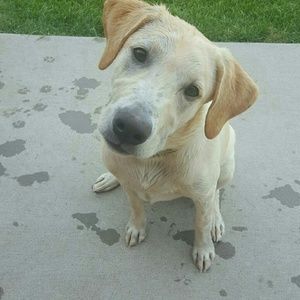 Meet your Posher, Angie