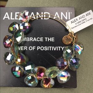 alex and ani epilepsy bracelet