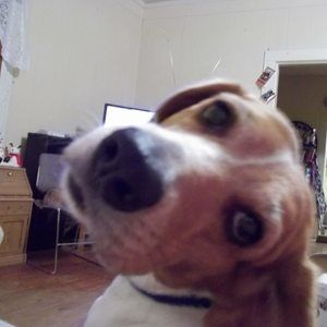 Meet your Posher, Marsha