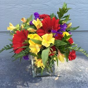 Meet your Posher, Donna