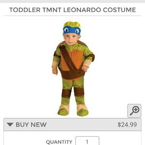 Leonardo from teenage mutant ninja turtles