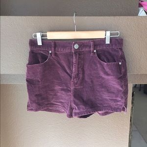 Purple corduroy shorts Urban Outfitters
